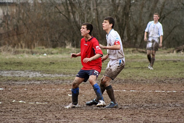 证所需的费 证所需的费