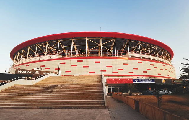 格和战术的 格和战术的