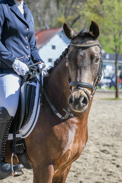 车手创造了 车手创造了