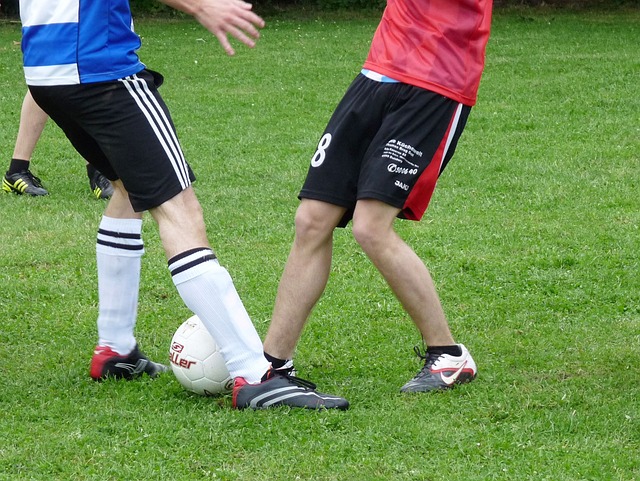 哈蘭德的受 哈蘭德的受