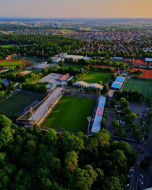 進一步鞏固 進一步鞏固